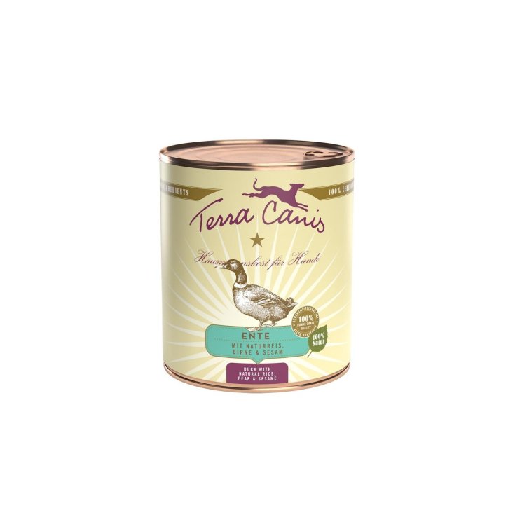 TERRA CANIS PATO CLÁSICO 800G