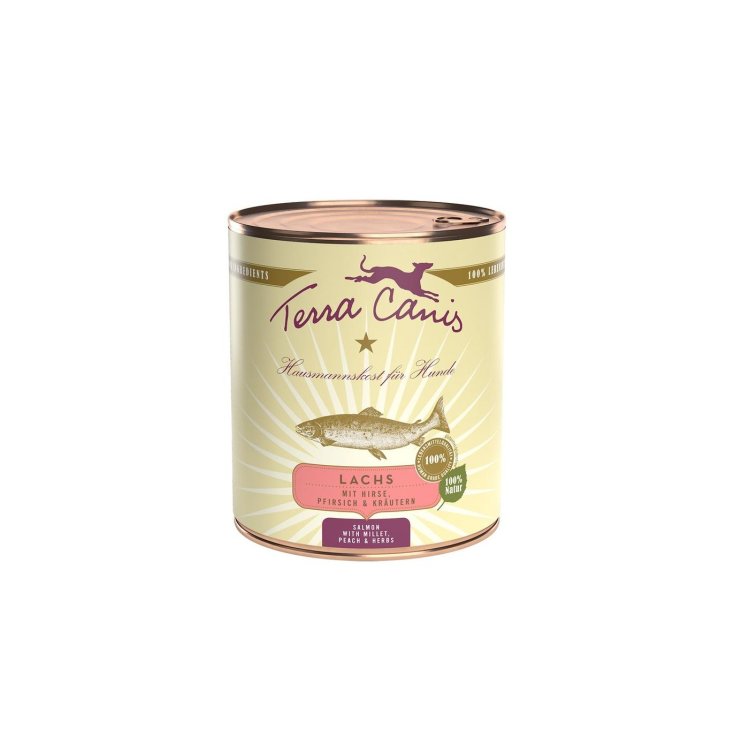 TERRA CANIS SALMÓN CLÁSICO 800G