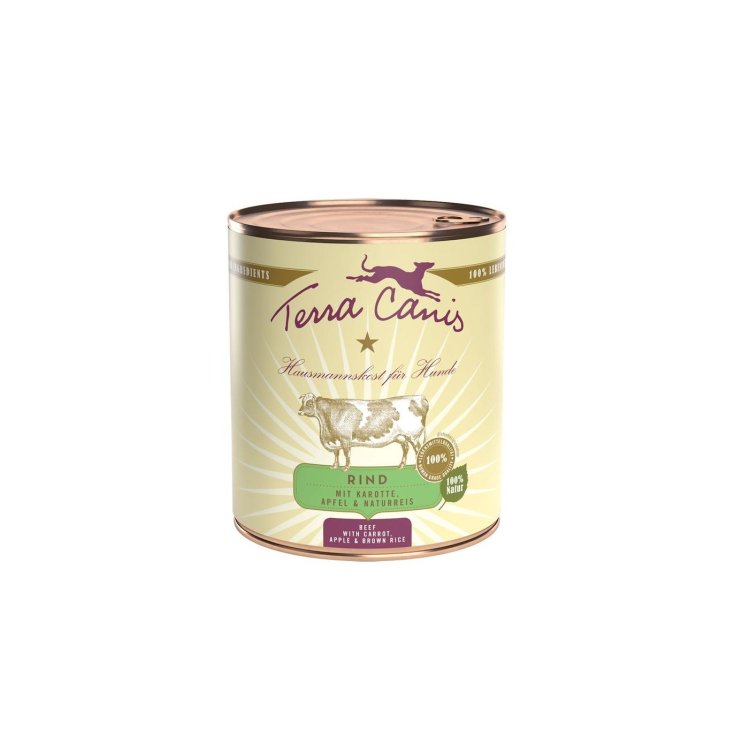 TERRA CANIS CARNE CLÁSICA 800G