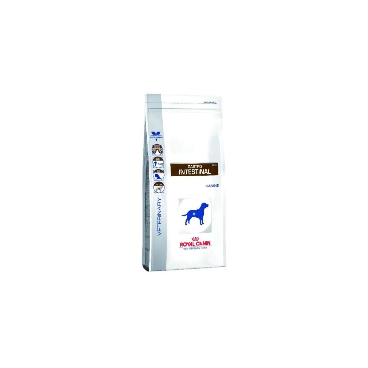 Royal Canin Veterinary Gastro Intestinal Alimento Dietético Seco 2kg