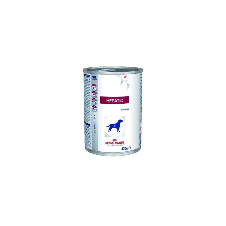 Veterinary Dc Wet Hepatic 420g