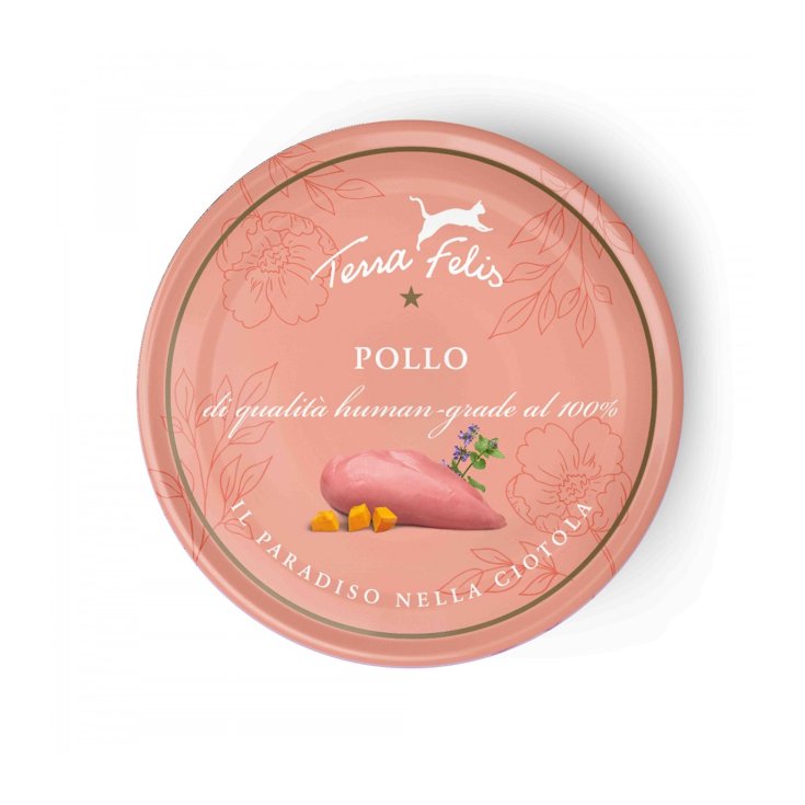 POLLO TERRA FELIS 80G