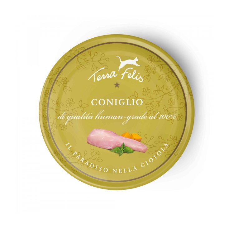TERRA FELIS CONEJO 80G