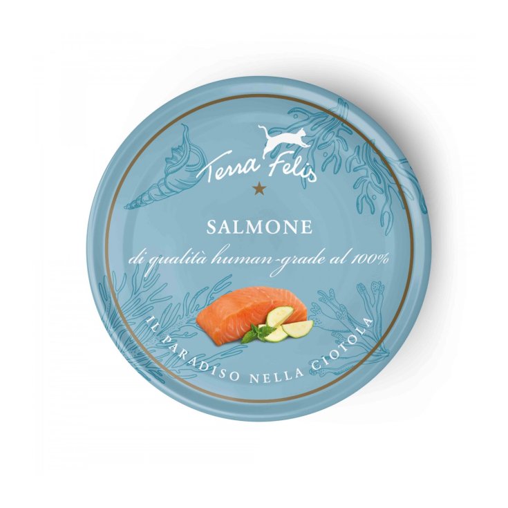 SALMÓN TERRA FELIS 80G