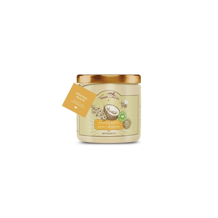 TERRA CANIS PASTA REAL 250ML