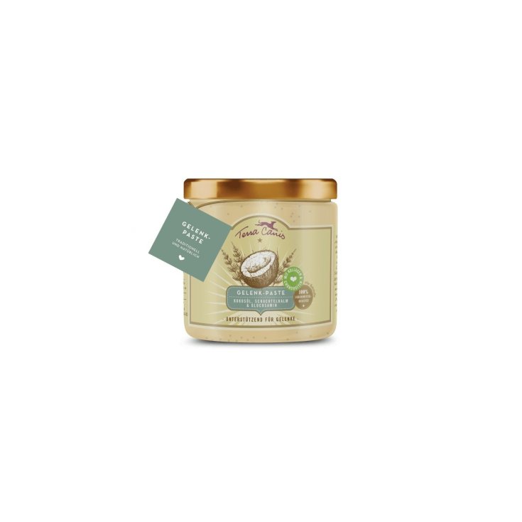 TERRA CANIS PASTA PARA JUNTAS 250ML