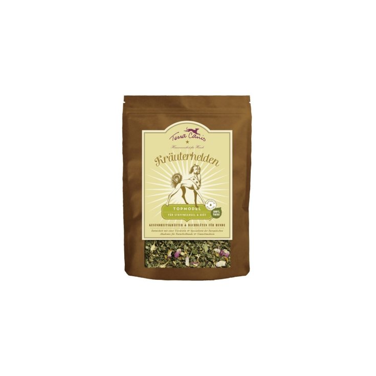 TERRA CANIS METABOLISMO HERBARIO 100G
