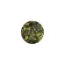 TERRA CANIS INMUNE HERBARIO 100G