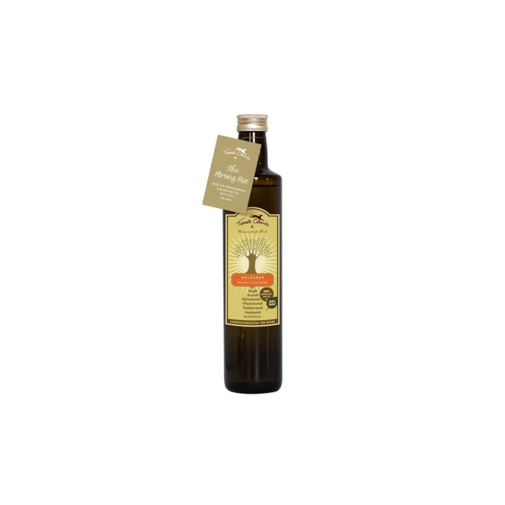 TERRA CANIS ACEITE VENA DE ORO 250ML