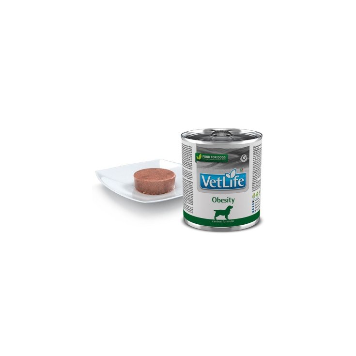 VET LIFE NAT DIET PERRO OBES300G