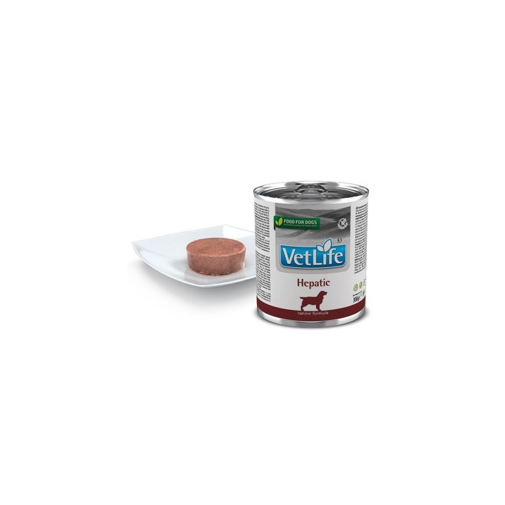 VET LIFE NAT DIET PERRO HEPA300G