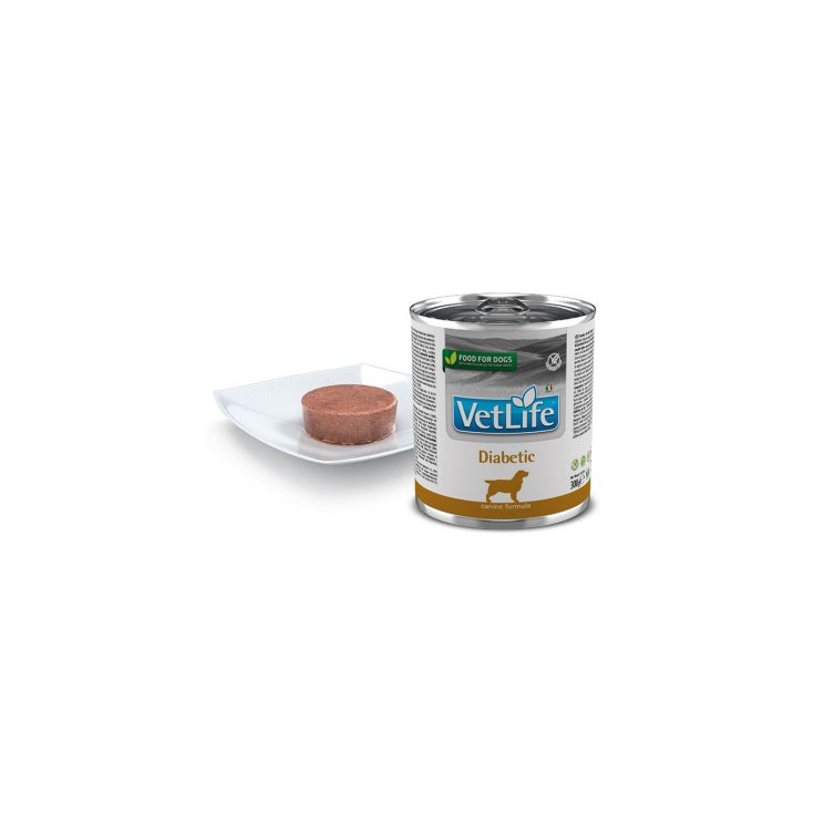 VET LIFE NAT DIET PERRO DIAB300G