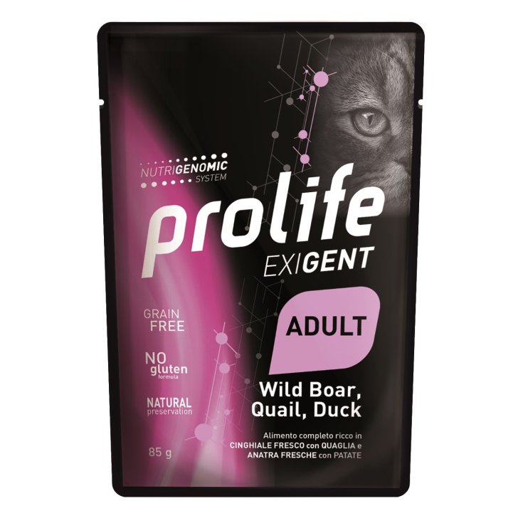 PROLIFE CAT EXIG AD SALVAJE BO85G