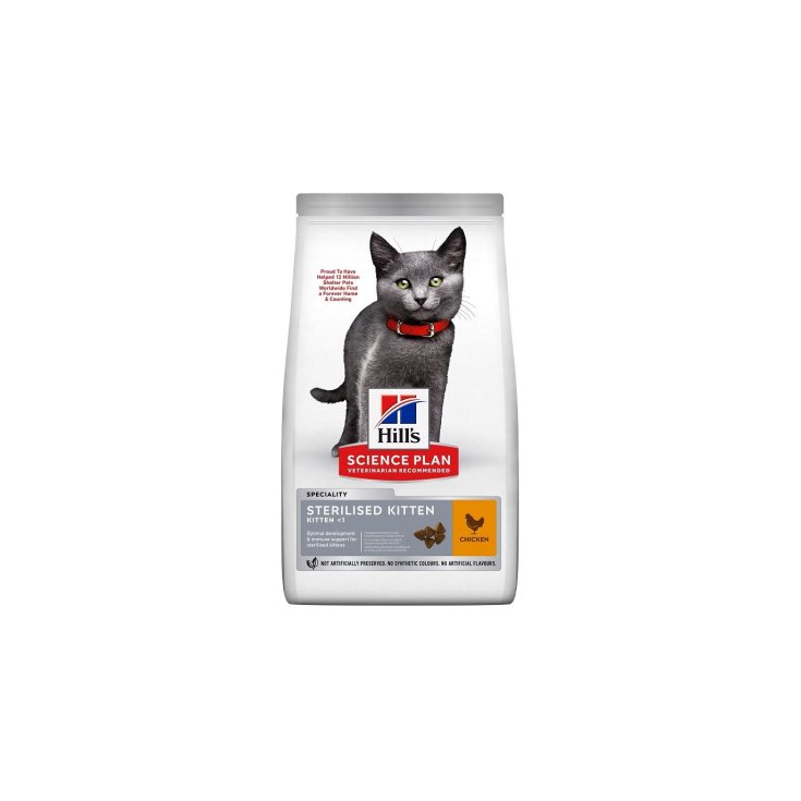 SP GATITO FELINO ST POLLO 300G