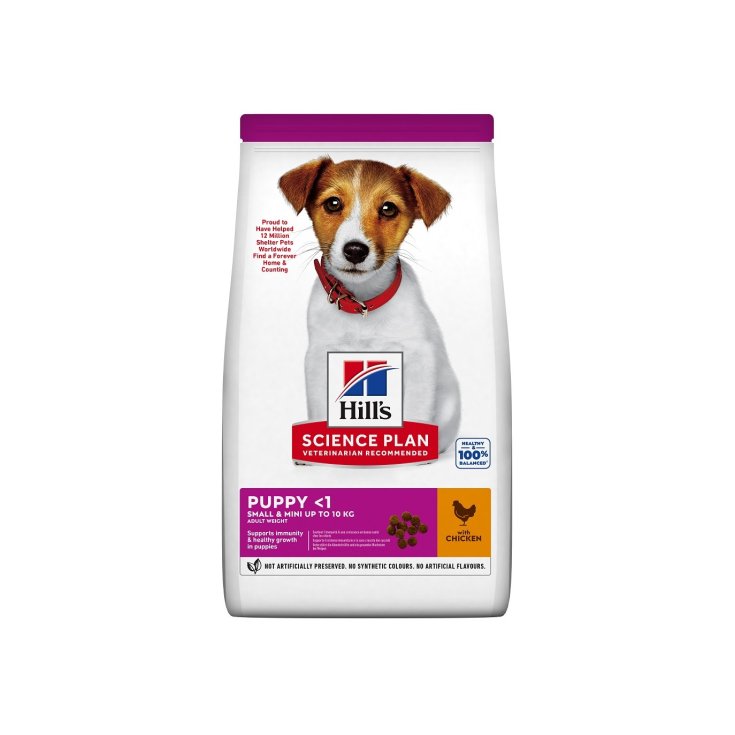 CACHORRO CANINO PEQUEÑO Y MINIATURAS 300 GR