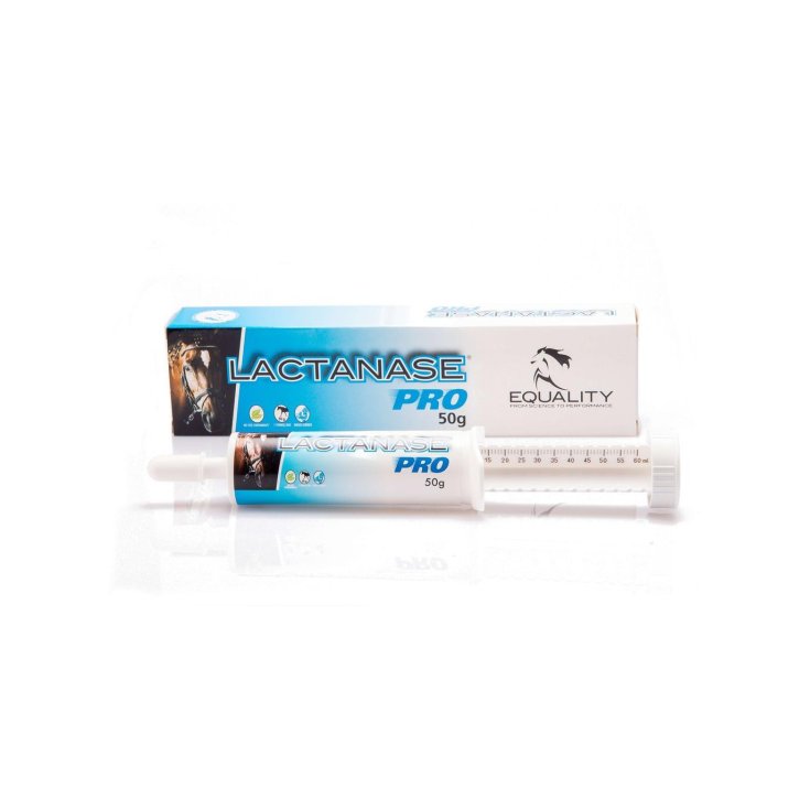 Jeringa de pasta oral Lactanase Pro para caballo atleta 50 g