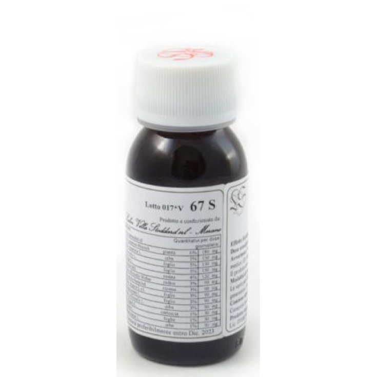 67 S Echinacea Purpurea Compositum Labor Villa Stoddard 60ml