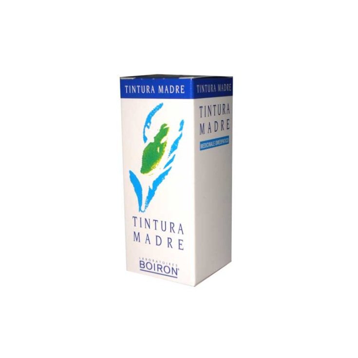 Boiron Equisetum Arv Tintura Madre 30ml