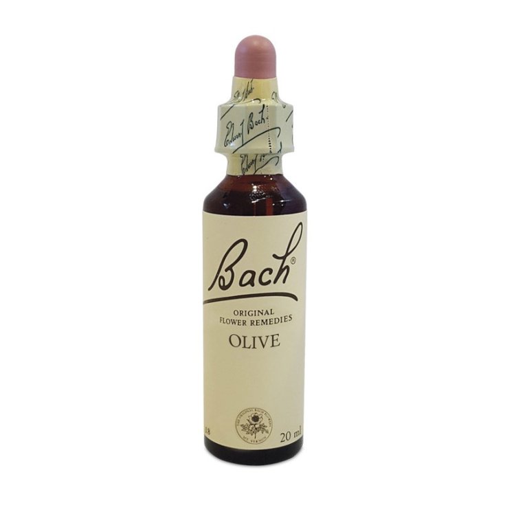 Esencia Centro de Oliva Bach 20ml