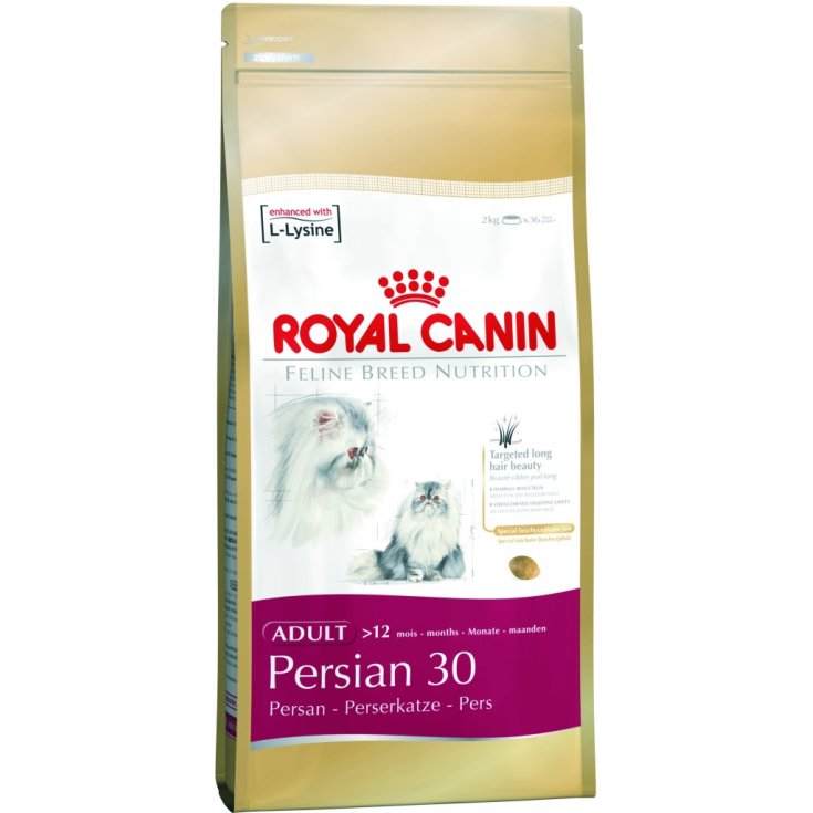 Royal Canin Nutrición Raza Felina Persa 30 Alimento Seco 30 4kg