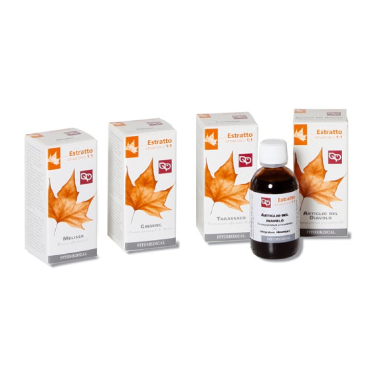 Selerbe Ginseng Extracto Fluido 1kg