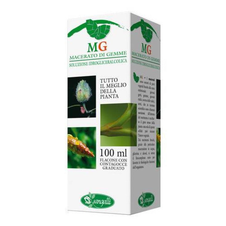 Extracto de Sangalli Olivo Bud 100ml