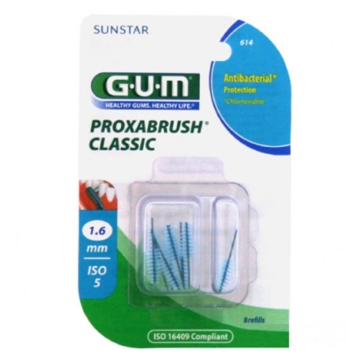 Goma Proxabrush 614 Protección Antibacteriana 8 Piezas