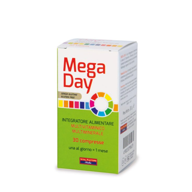 Farmaderbe Mega Day Complemento Alimenticio 30 Comprimidos