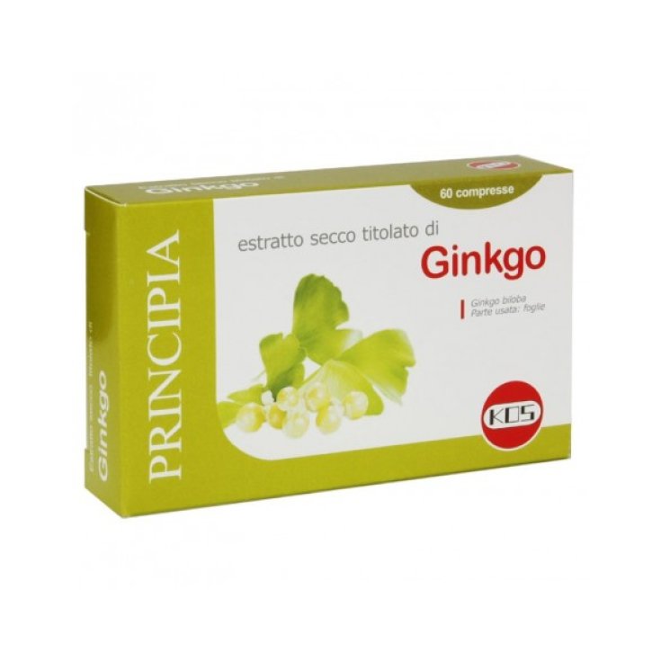 Kos Ginkgo Biloba Extracto Seco 60 Comprimidos