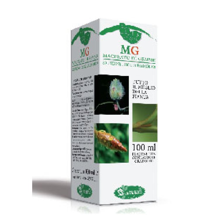 Sangalli MG Abedul Complemento Alimenticio 100ml