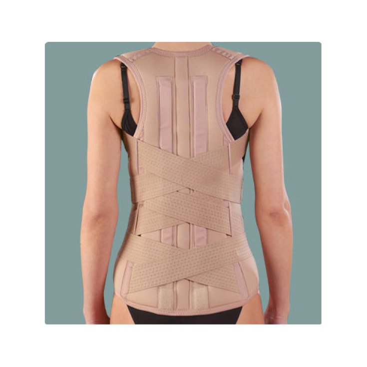 Ro + ten Lem Corsé Espalda-Lumbar Con Tirantes PR1-1036 Talla XL