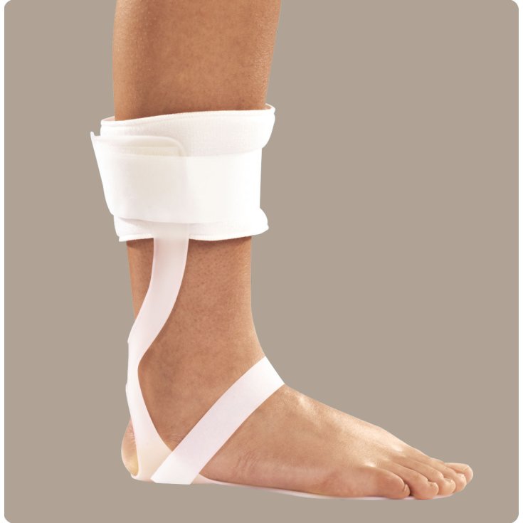 Ro + ten Afo Dangle Foot Brace PR4-9050 Pie derecho Talla L (41-44)