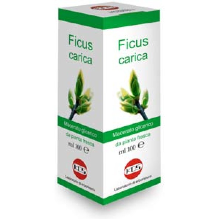 Kos Ficus Upload Drops Mg Complemento Alimenticio 100ml