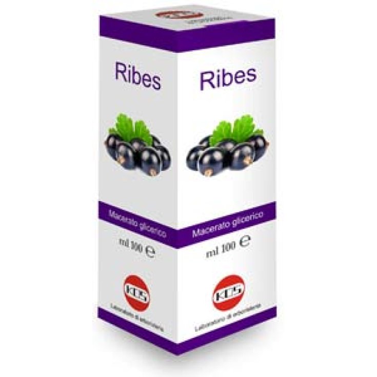 Kos Ribes Nigrum Macerate Gotas De Glicerina Complemento Alimenticio 100ml