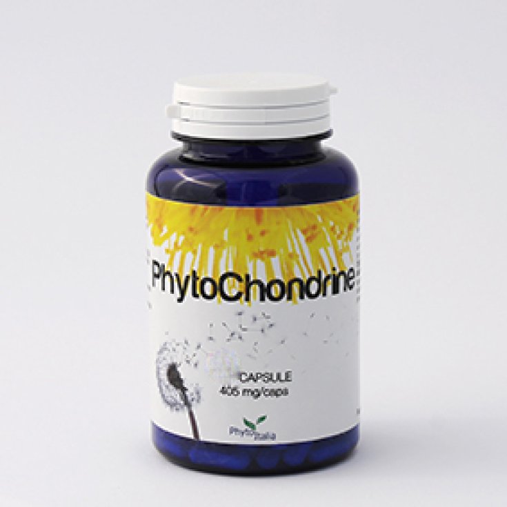 Phytoitalia Phytochondrine Complemento Alimenticio 60 Cápsulas