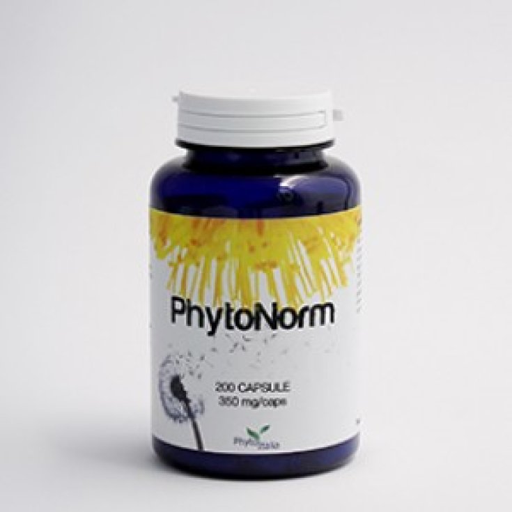 Phytonorm Complemento Alimenticio 60 Comprimidos