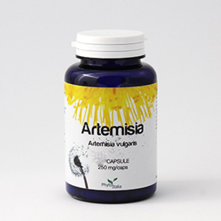 Phytoitalia Artemisia Suplemento Alimenticio 60 Cápsulas