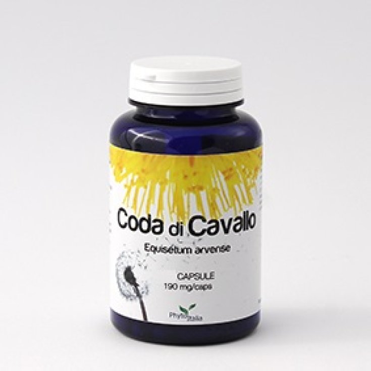 Phytoitalia Coda Di Cavallo Equisetum Arvense Complemento Alimenticio 60 Cápsulas