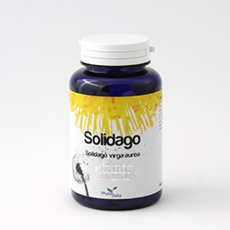 Phytoitalia Solidago Complemento Alimenticio 60 Cápsulas