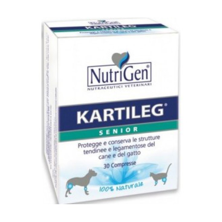 Nutrigeni Kartileg Senior Complemento Alimenticio 30 Comprimidos