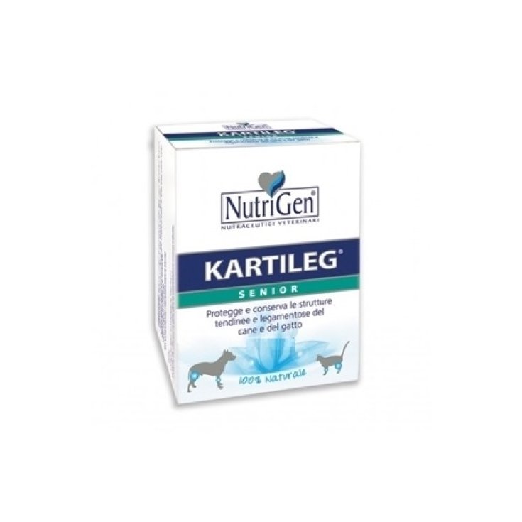 Kartileg Senior Complemento Alimenticio Perros/Gatos 60 Comprimidos