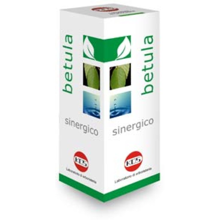 Kos Betula Sinergico Complemento Alimenticio 100ml