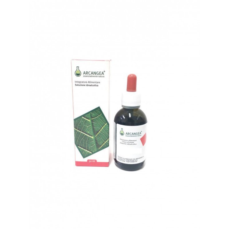 Arcangea Cardo Mariano Complemento Alimenticio 50ml