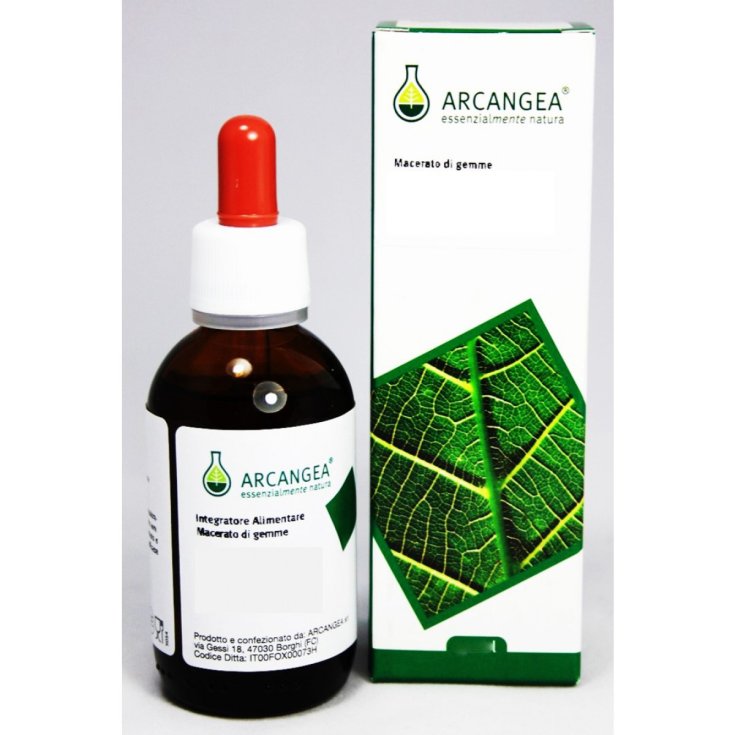 Arcangea Linfa Abedul Complemento Alimenticio 100ml