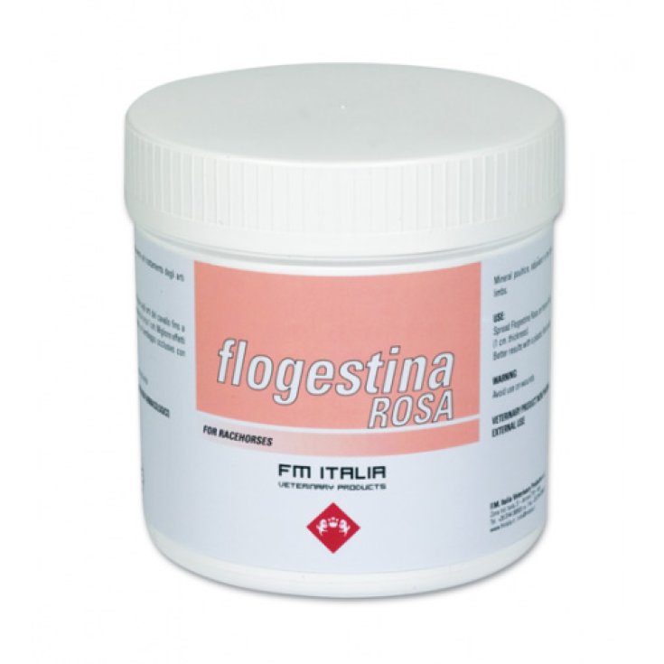 FM Italia Pasta Flogestina Rosa 1kg