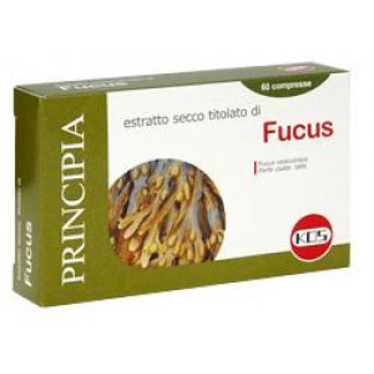 Kos Fucus Extracto Seco Complemento Alimenticio 60 Comprimidos