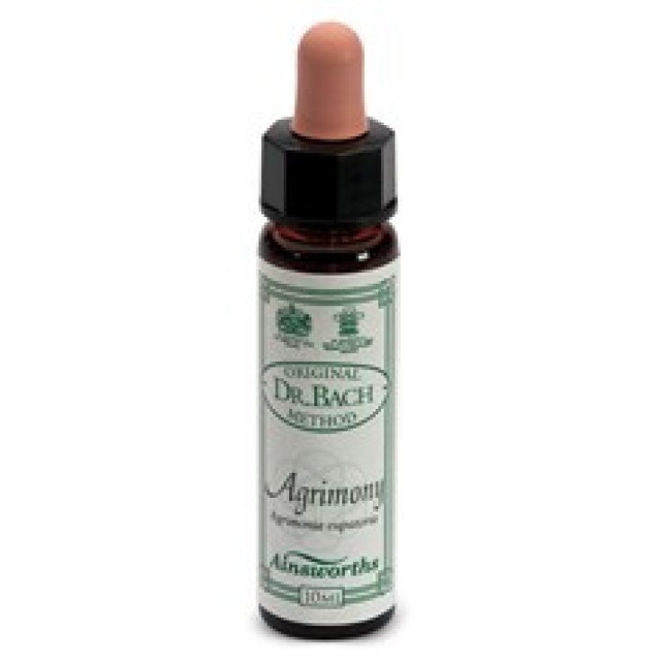 Santiveri Ainsworths Complemento Alimenticio Agrimony 10ml