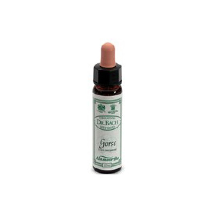 Santiveri Ainsworths Aulagas Flores de Bach 10ml