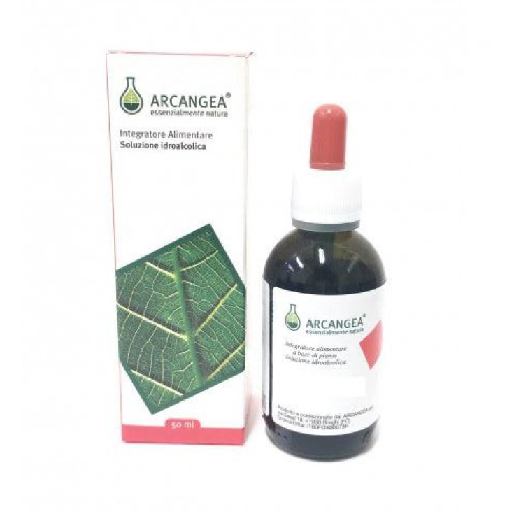Arcangea Carpinus Betulus Circulatum Complemento Alimenticio 50ml