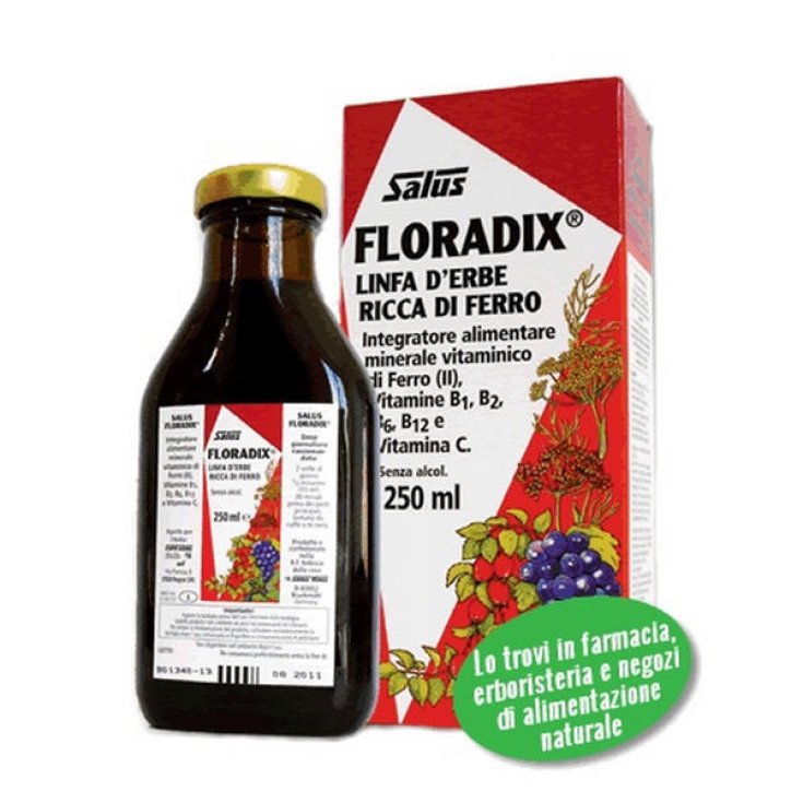Salus Floradix Linfa D'Erbe Complemento Alimenticio Rico En Ferro 250ml